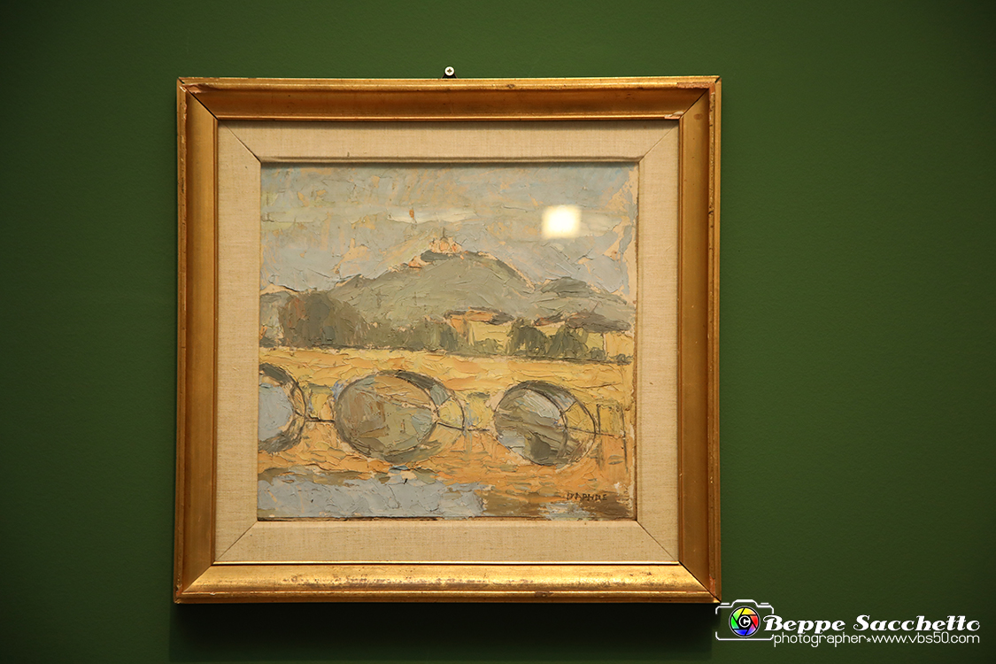 VBS_1346 - Castello di Miradolo - Mostra Oltre il giardino l'Abbecedario di paolo Pejrone.jpg